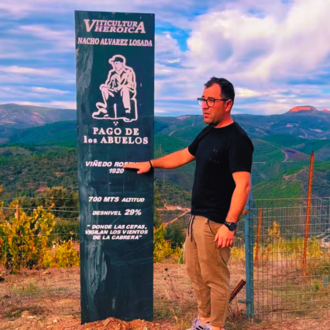 Experiencia de Enoturismo Personalizable