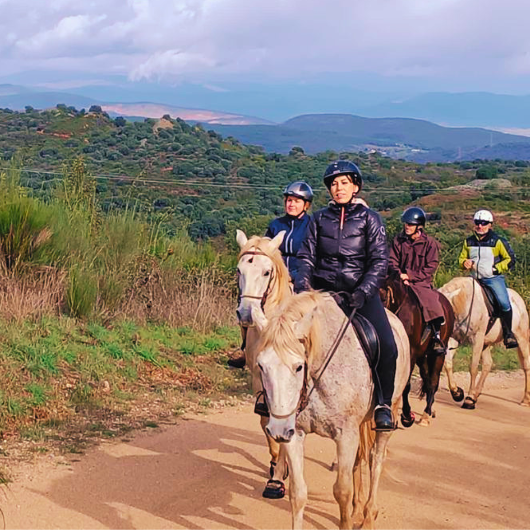 Experiencia de Enoturismo Personalizable